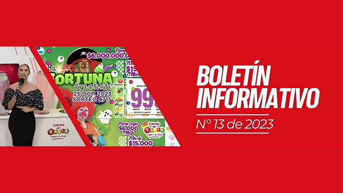 Boletín informativo N° 13