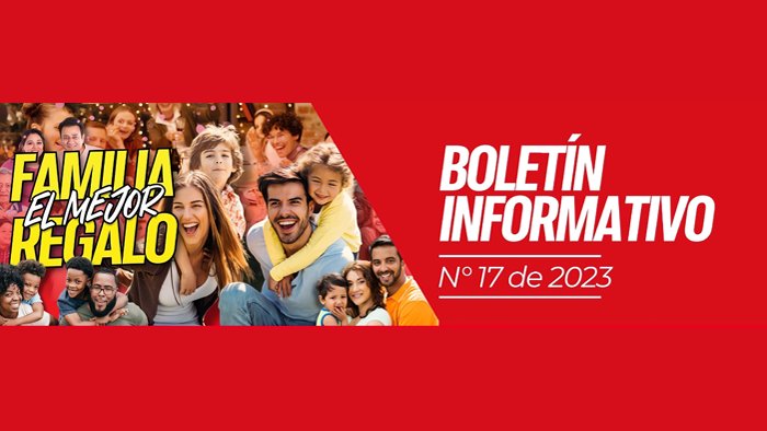 Boletín informativo N° 17